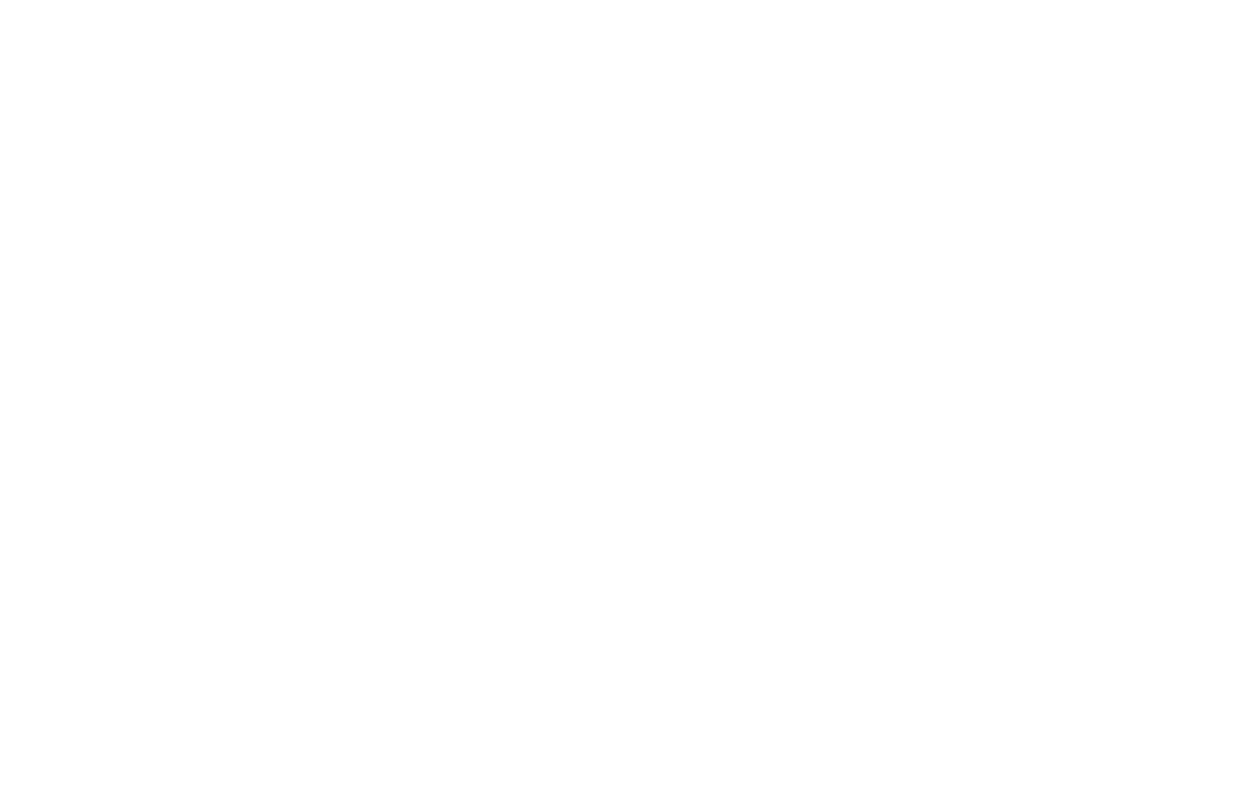 VA_ICON_PELICAN_WHITE Logo Villa Arsène blanc +